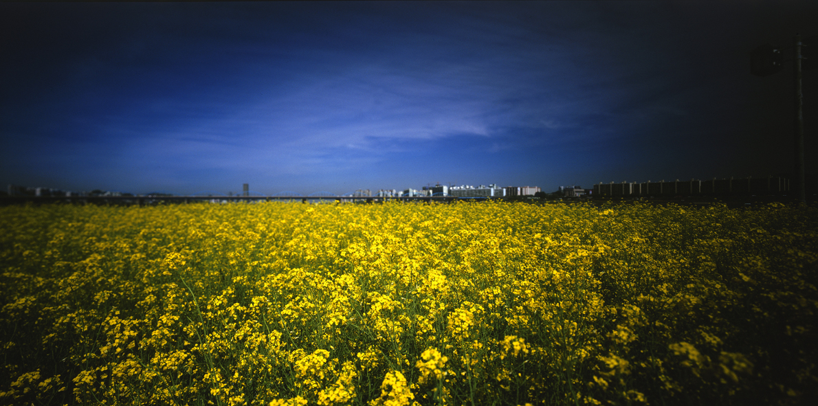 Paradise in Seoul #044,S Korea,2007