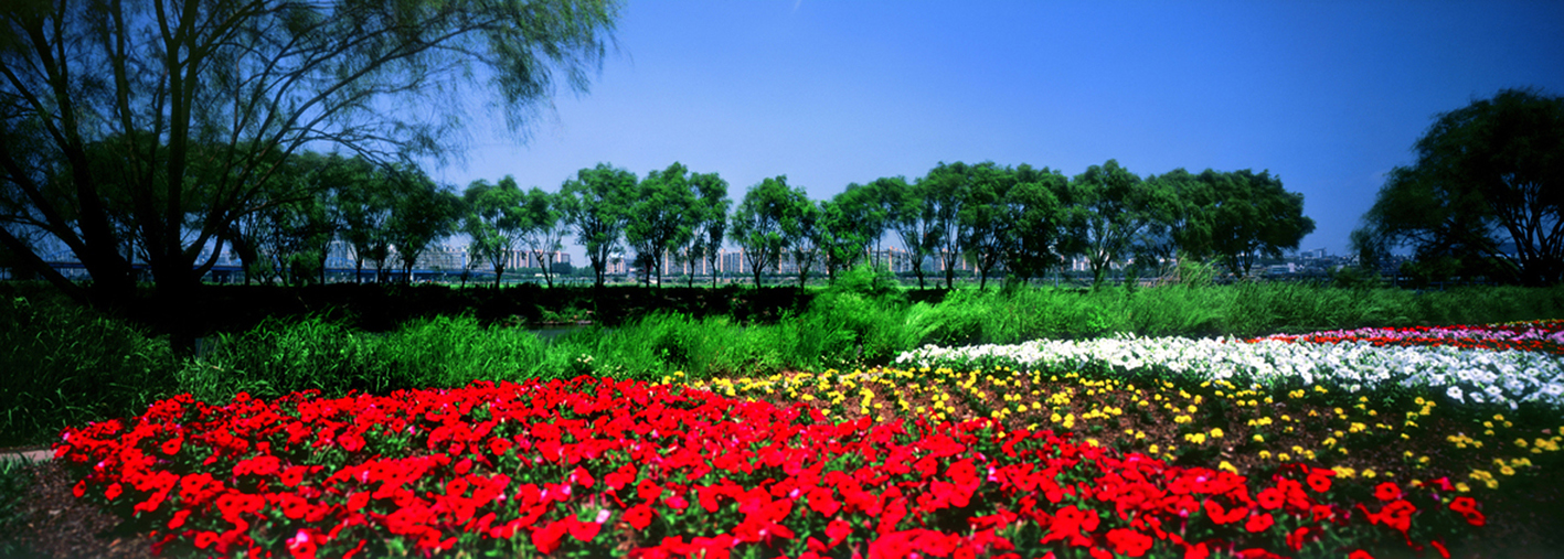 Paradise in Seoul #045,S Korea,2007