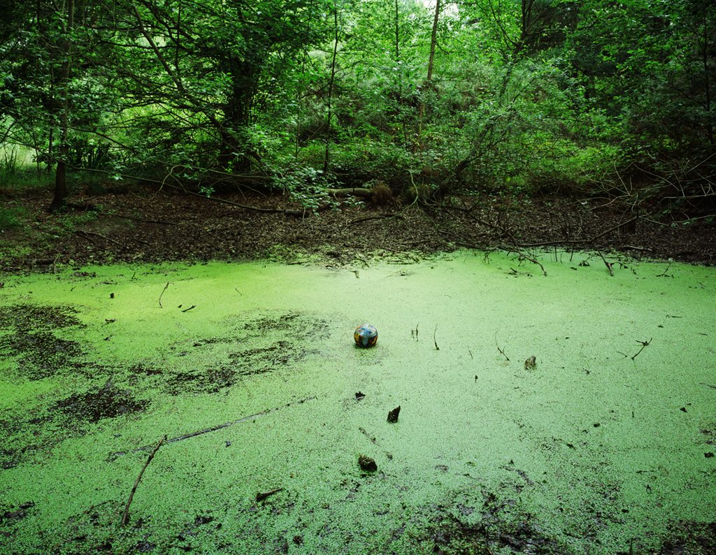 Tenseless-05, Swamp, C print, 125x100cm, 2004