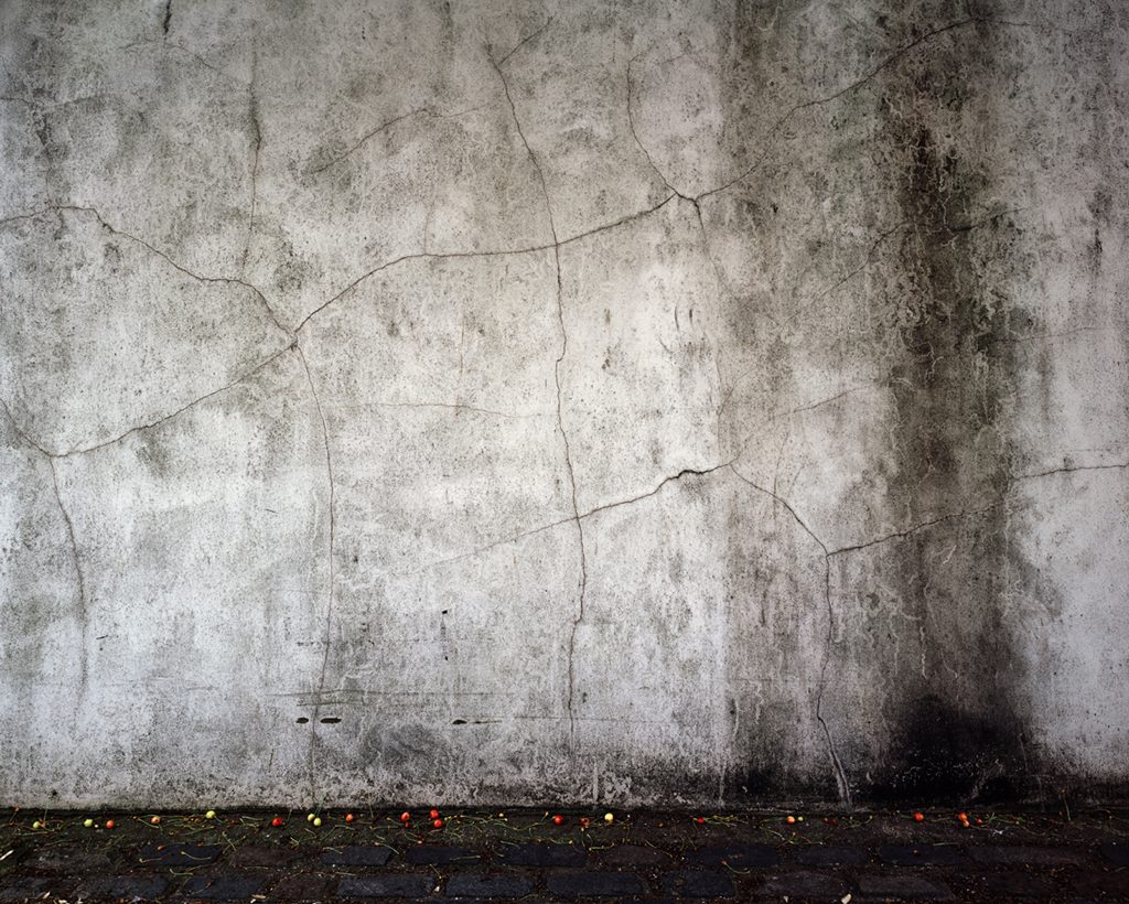 Tenseless-16,Falllen cherries,C print,125x100cm,2006