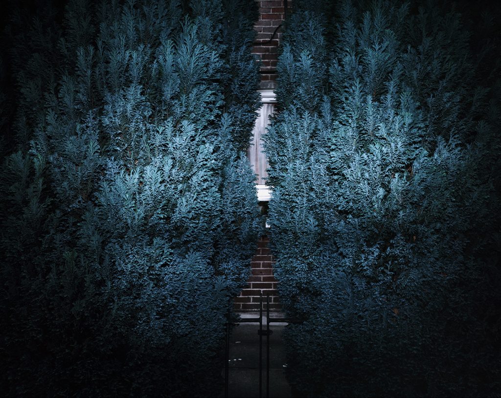 Tenseless-39,Two trees,100x75cm,C print,2005