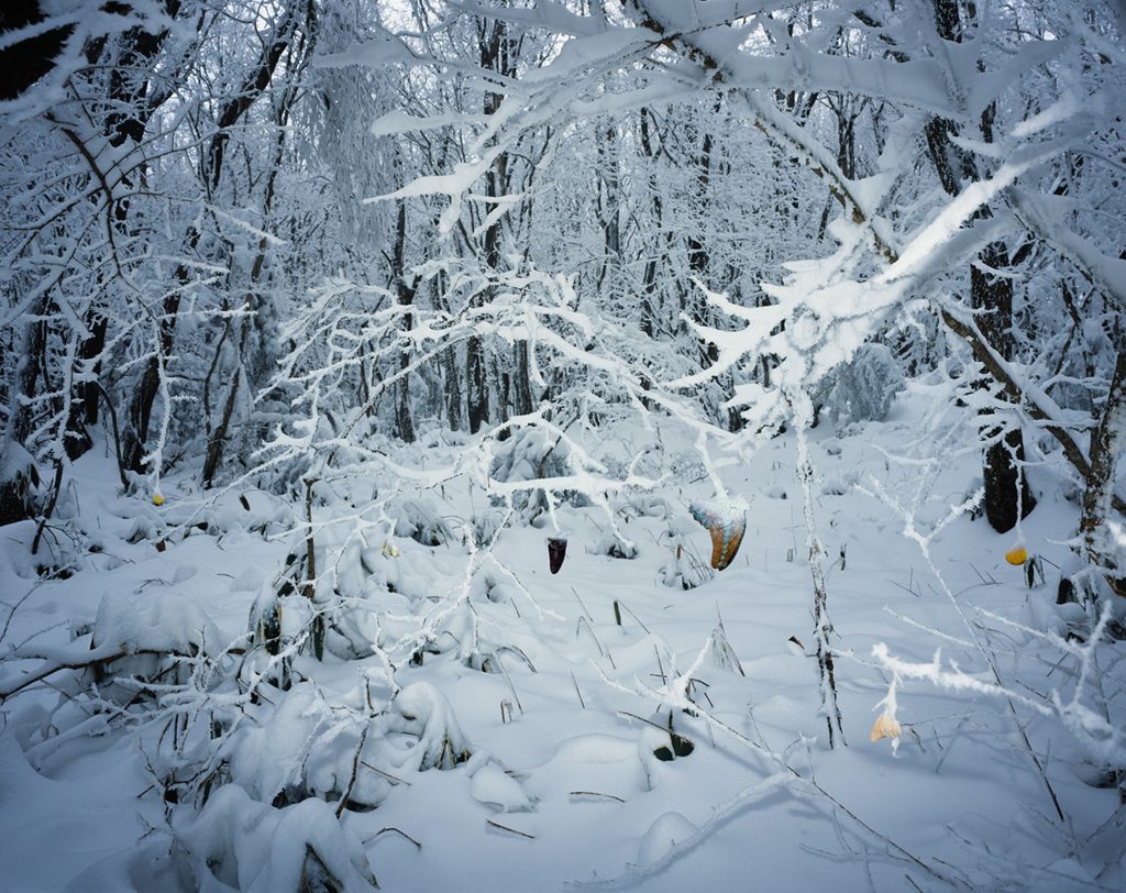 Tenseless-56,, Winter flowers, C print, 103x130cm, 2008