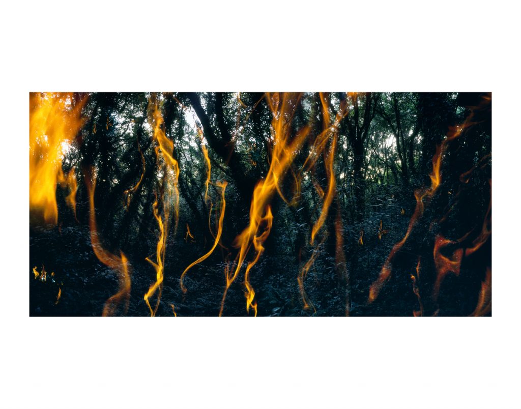 Tenseless-71, Flame, 120x290, C print, 2010
