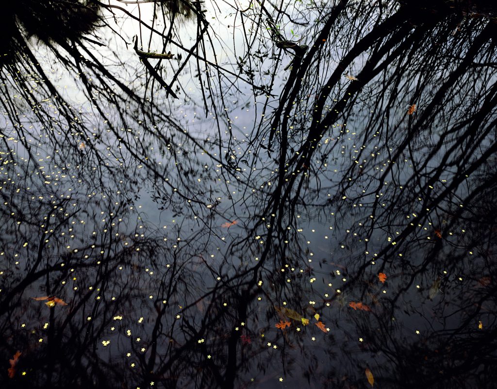 Untitled-14, In the shallow surface, C print,125x100cm, 2004