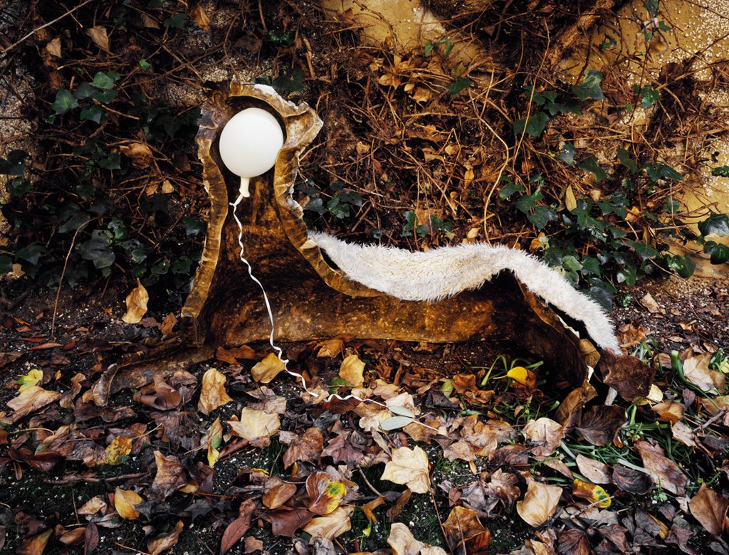 Untitled-17, a deer cast, 2004, 130x100cm, C print