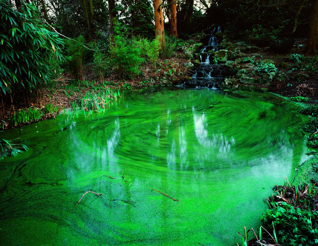 Untitled-2,Green pond,C print,125x100cm,2004