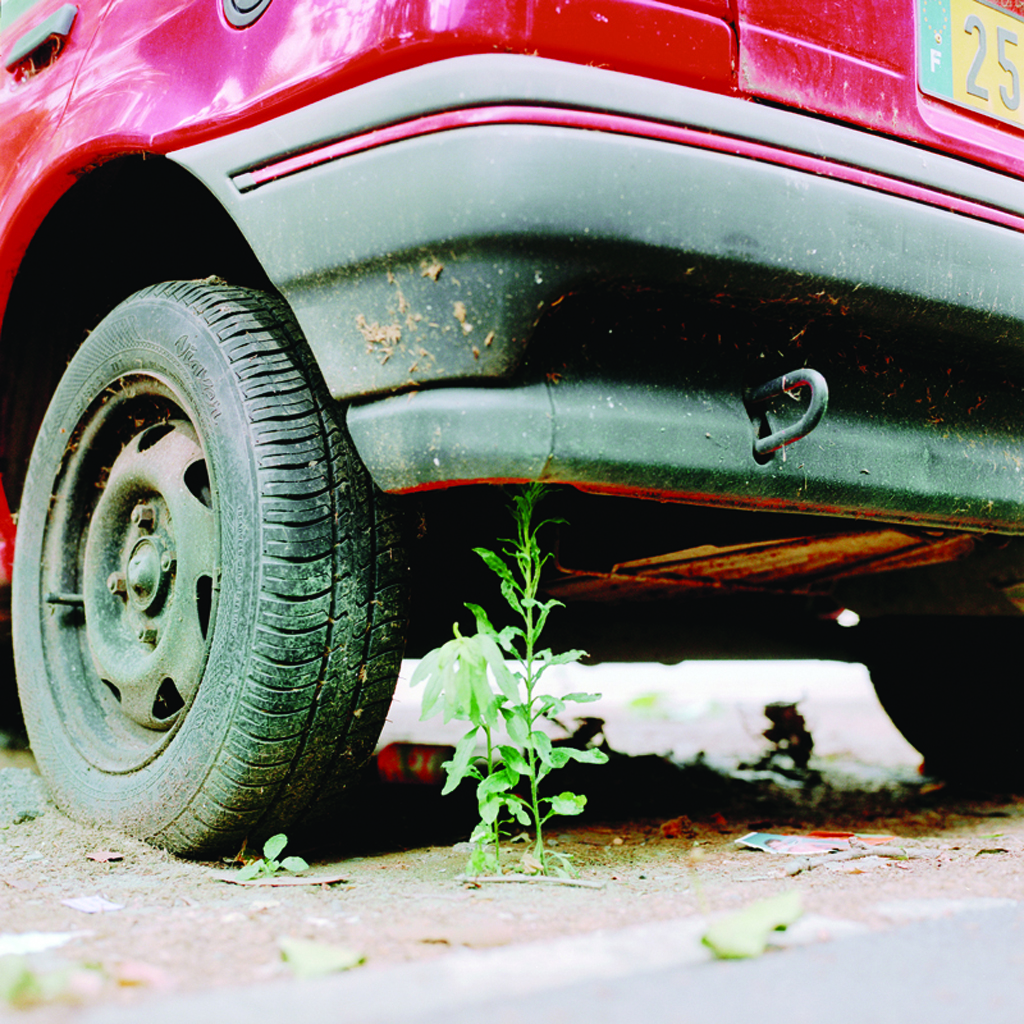 Yum Joongho, Jack and the Bean Sprout, 2007, Lamda Print, 23.3x23.3cm, ONE AND J. Gallery