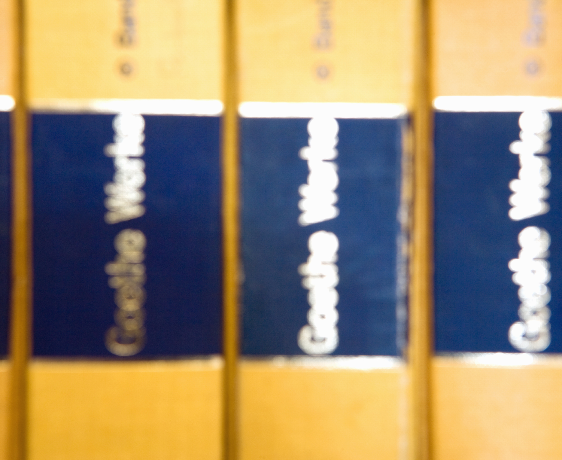 k005-inkjet print-54cm×66cm-2009