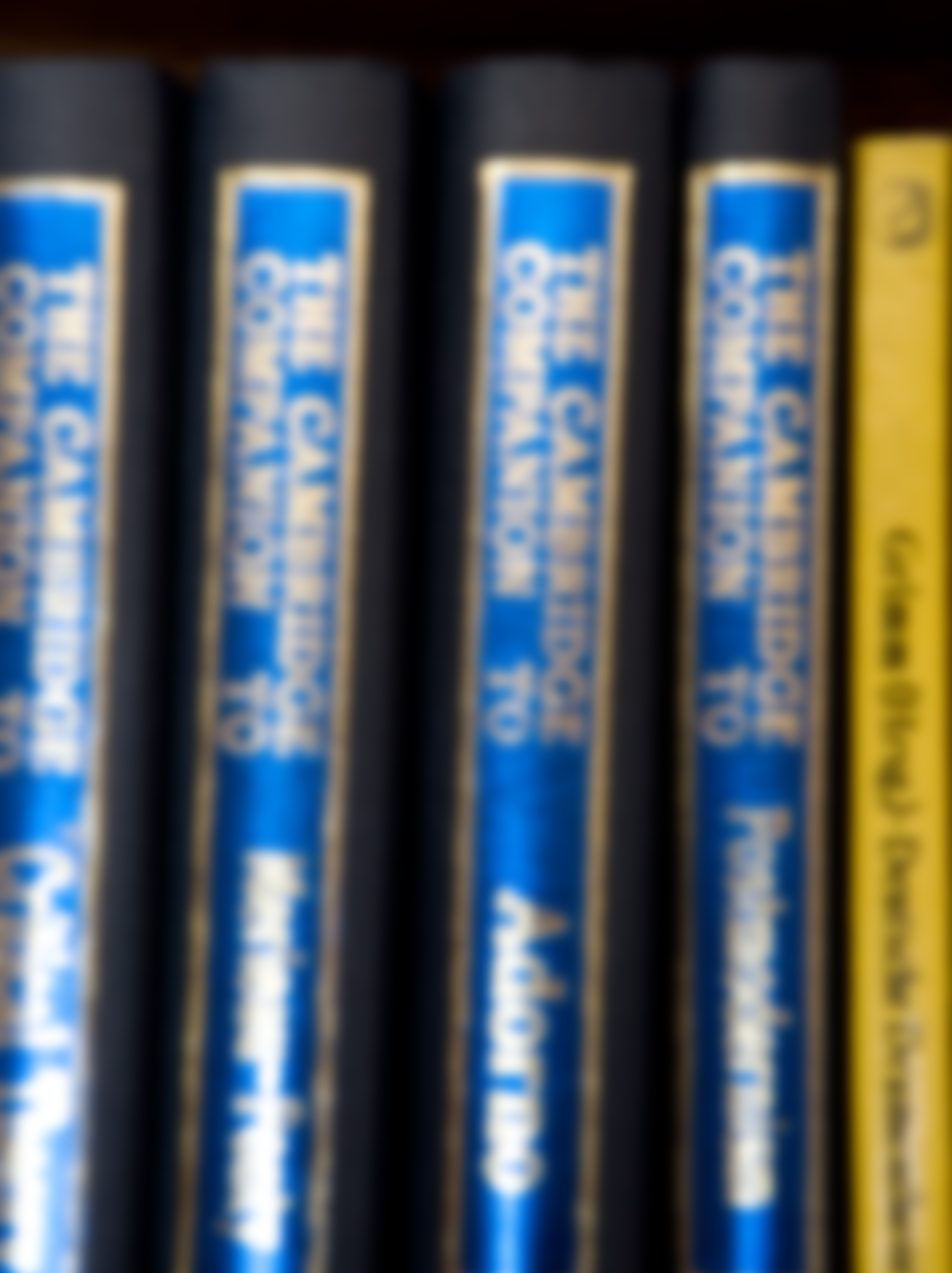 k011-inkjet print-131cm×98cm-2009