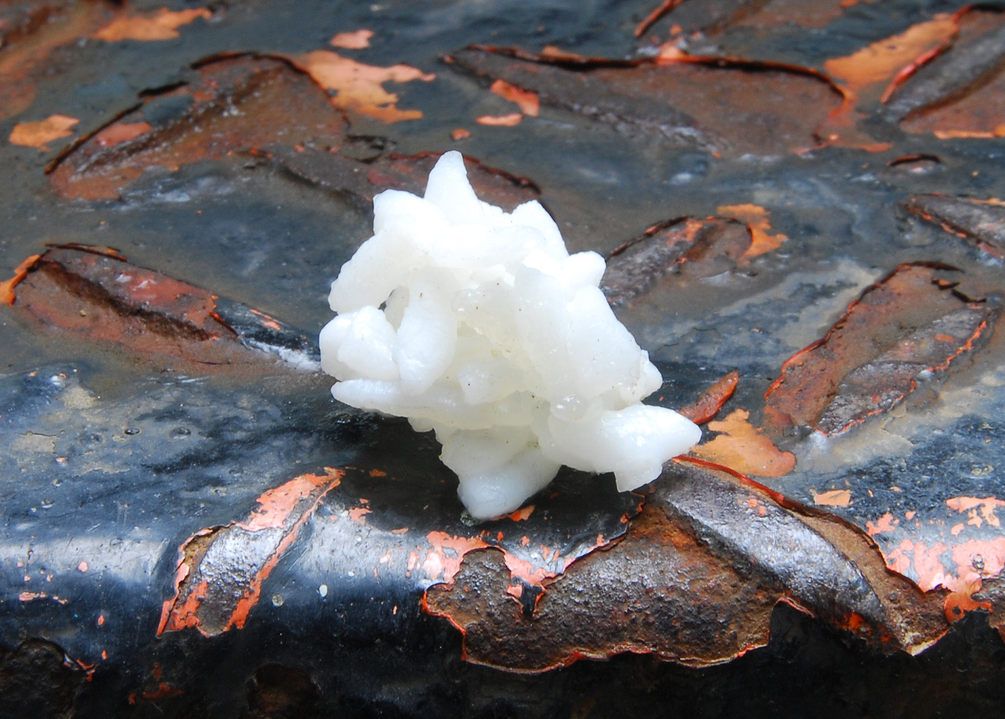 불광동 토템_1, inkjet print, 60x90cm, 2010