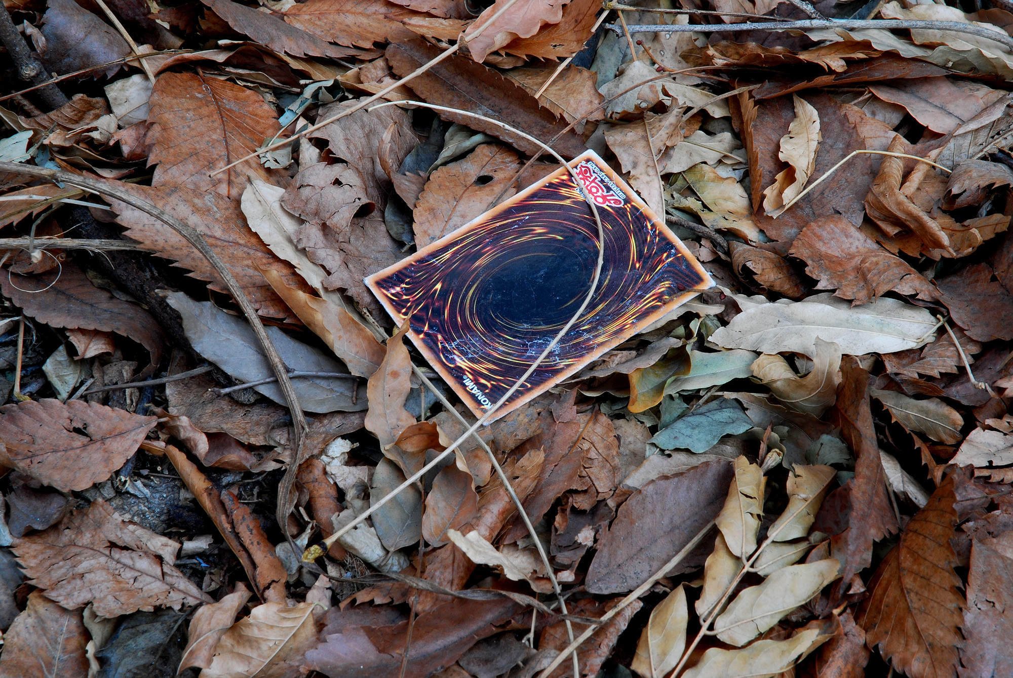 불광동 토템_5, inkjet print, 60x90cm, 2010