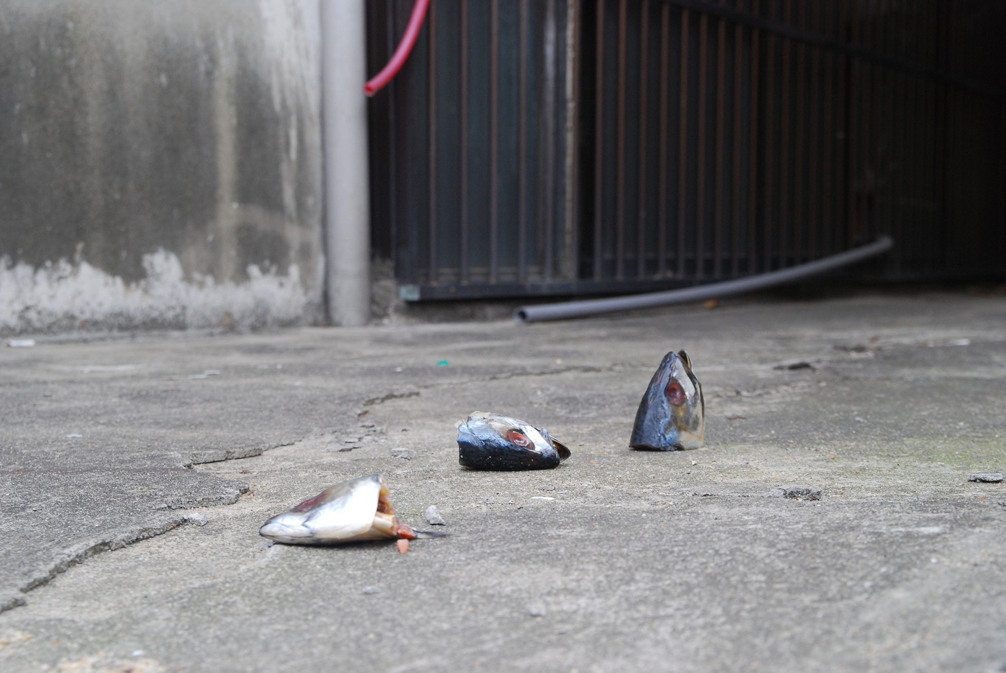 불광동 토템_8, inkjet print, 80x120cm, 2010