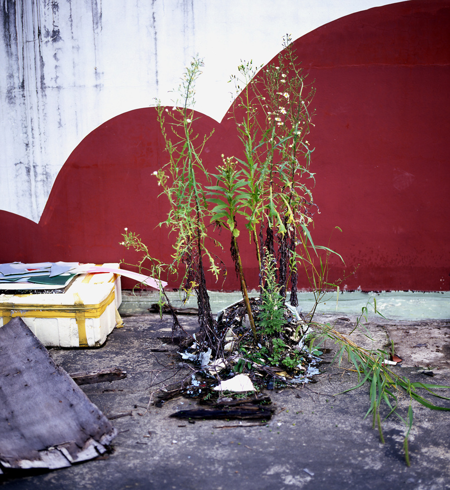 불광동 토템_깃발들, inkjet print, 80x80cm 2003