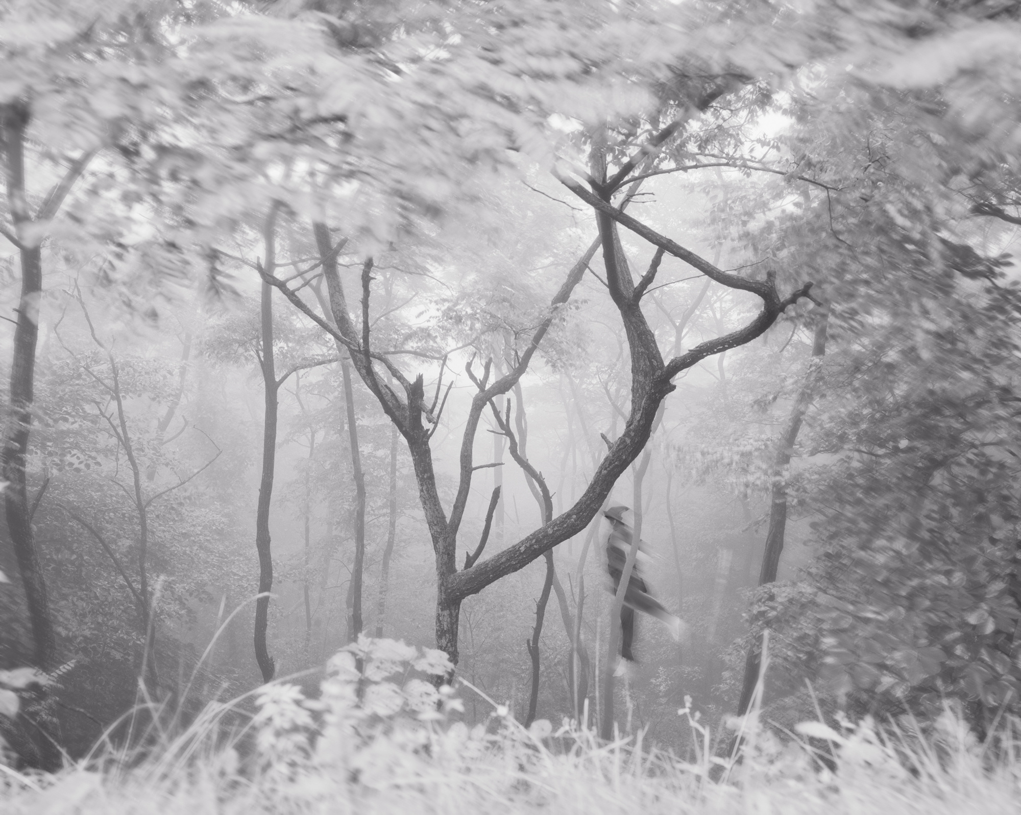 01. 박현호, I am perpect, flying, 2007