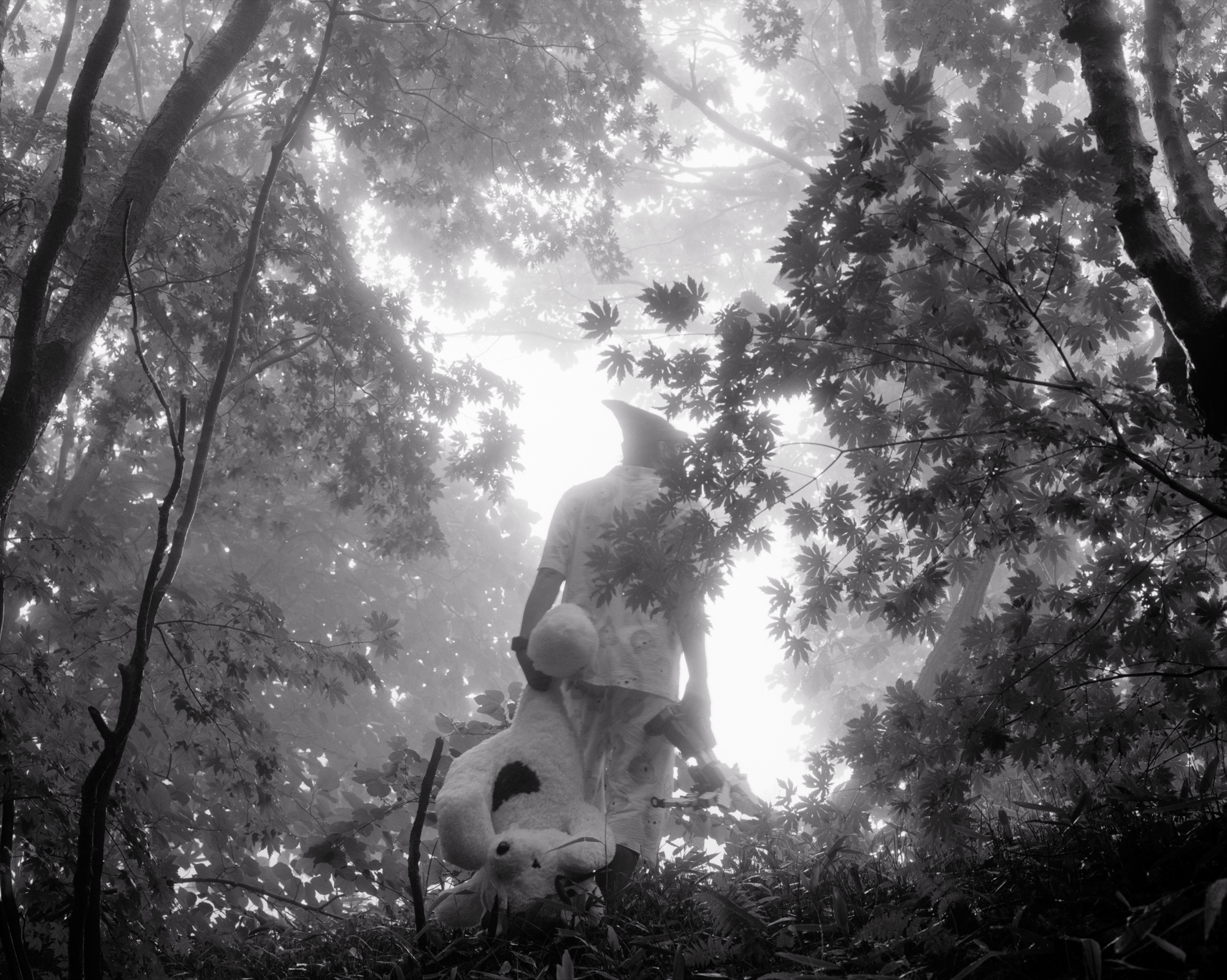 03. 박현호, I am perpect, welcome home, 2008