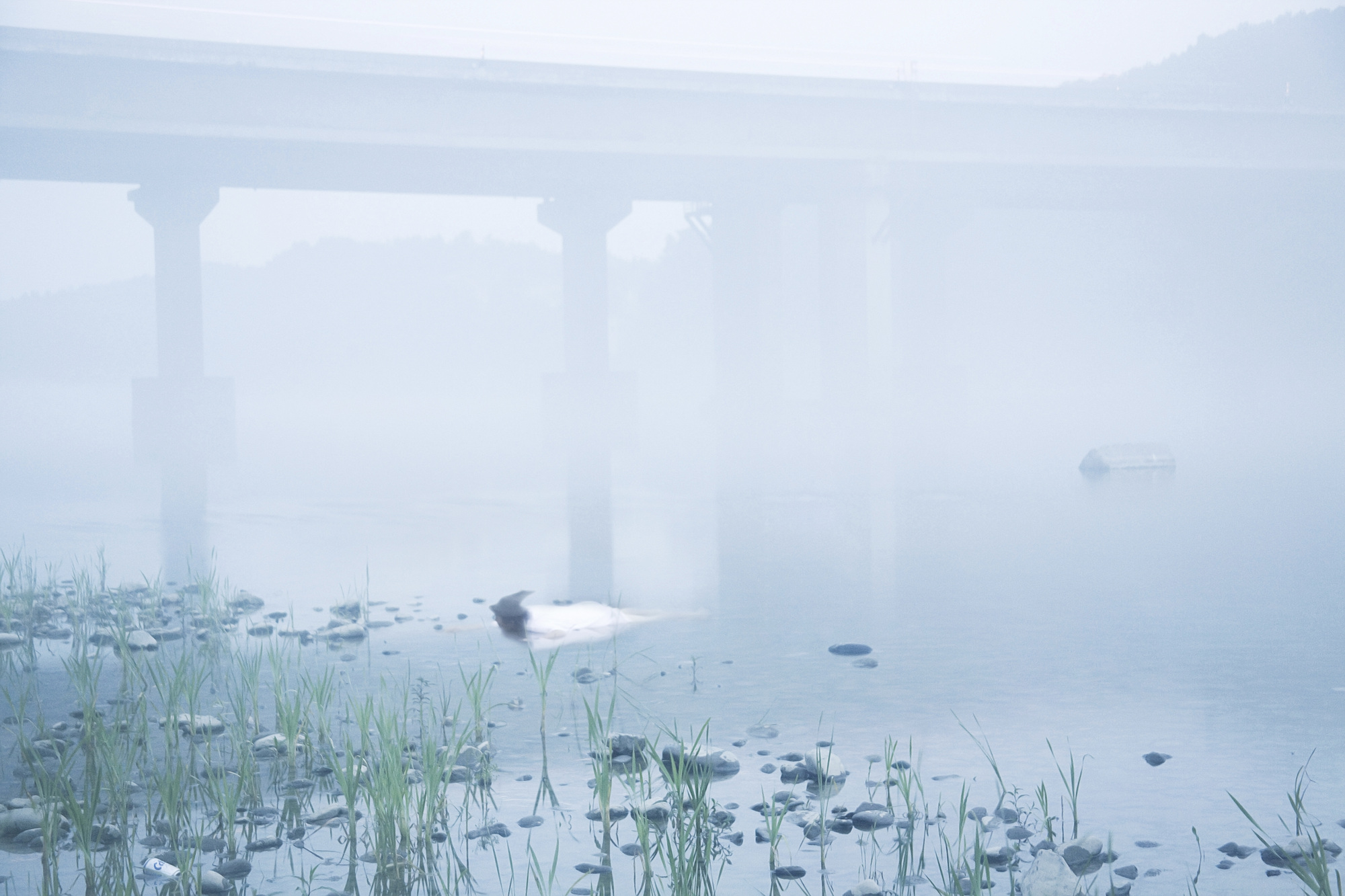 05. 박현호, I am perpect, Alcohol toxic symptoms, 2008