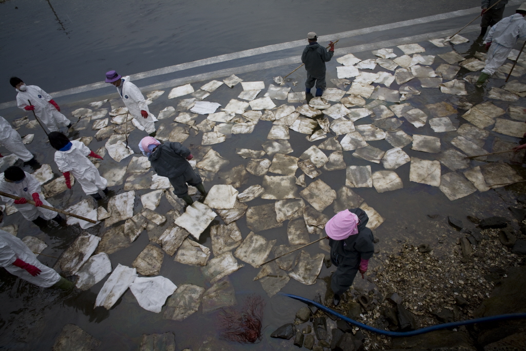 07. 김재우, 어느날 갑자기 바닷가에..., 태안 의항리, 2008.05