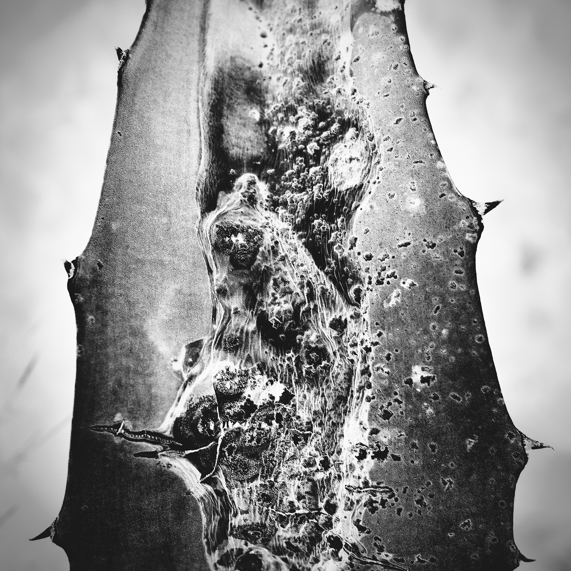 03.untitled #10_28x28cm_2009