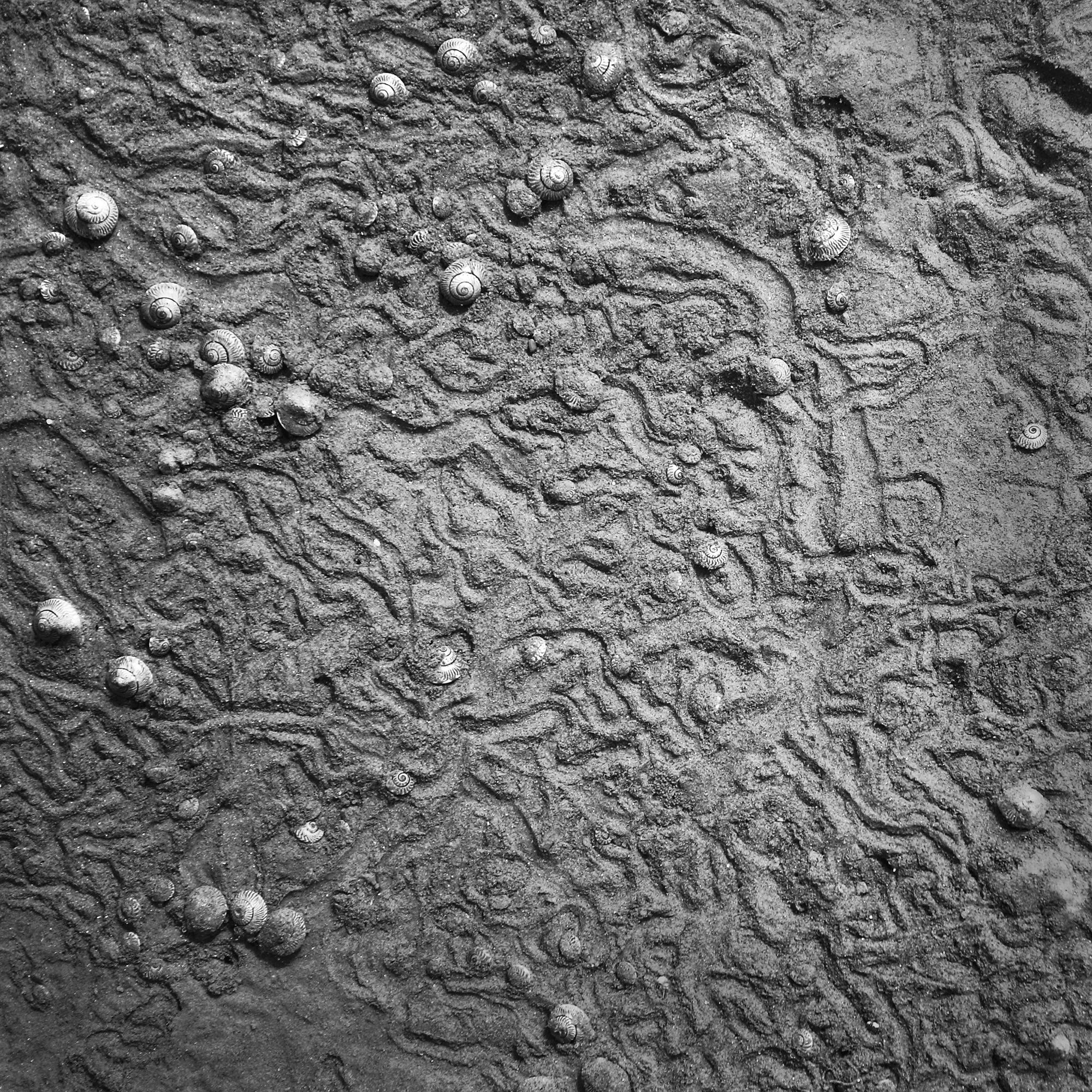 04.untitled #23_28x28cm_2009