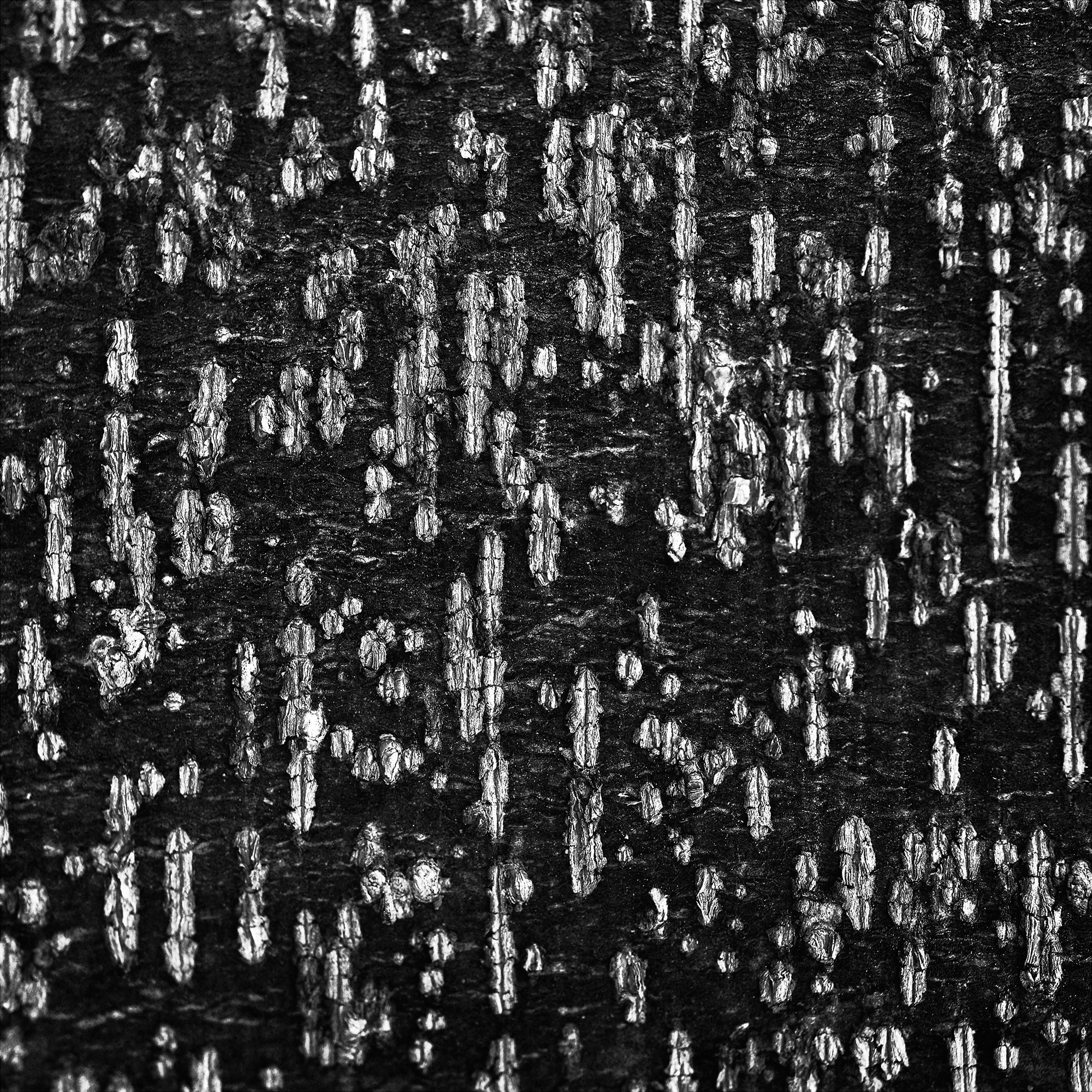 05.untitled #29_28x28cm_2009