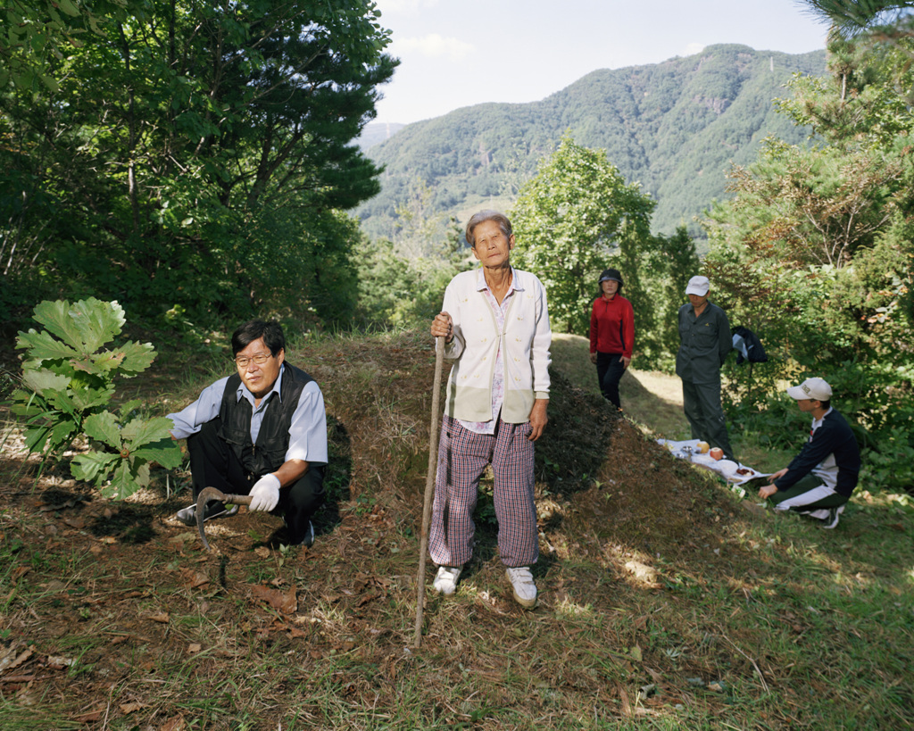 도계 프로젝트,  남진선의 집1-벌초풍경2006