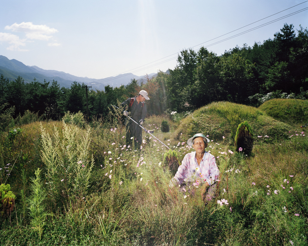 도계 프로젝트, 남진선의 집2-벌초풍경 2006