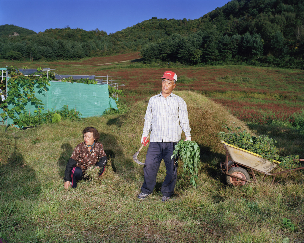 도계 프로젝트, 홍성우의 집1-벌초풍경 2006