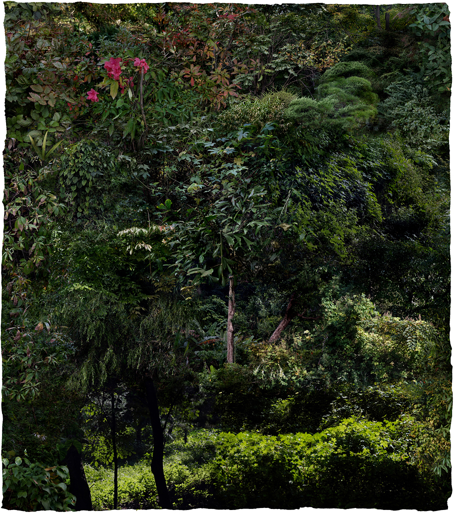 Forest #08, Varnishing on Wevead Pigment Print, 115X130cm,2008