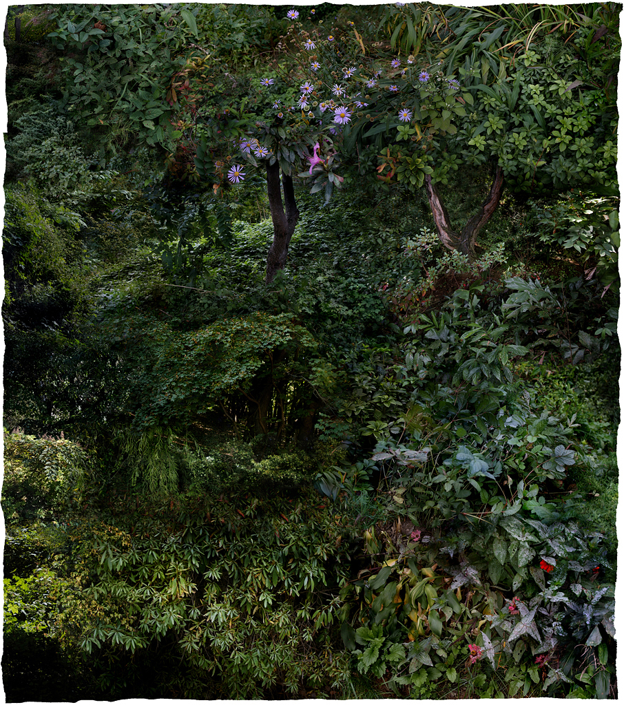 Forest #09, Varnishing on Wevead Pigment Print, 115X130cm,2008