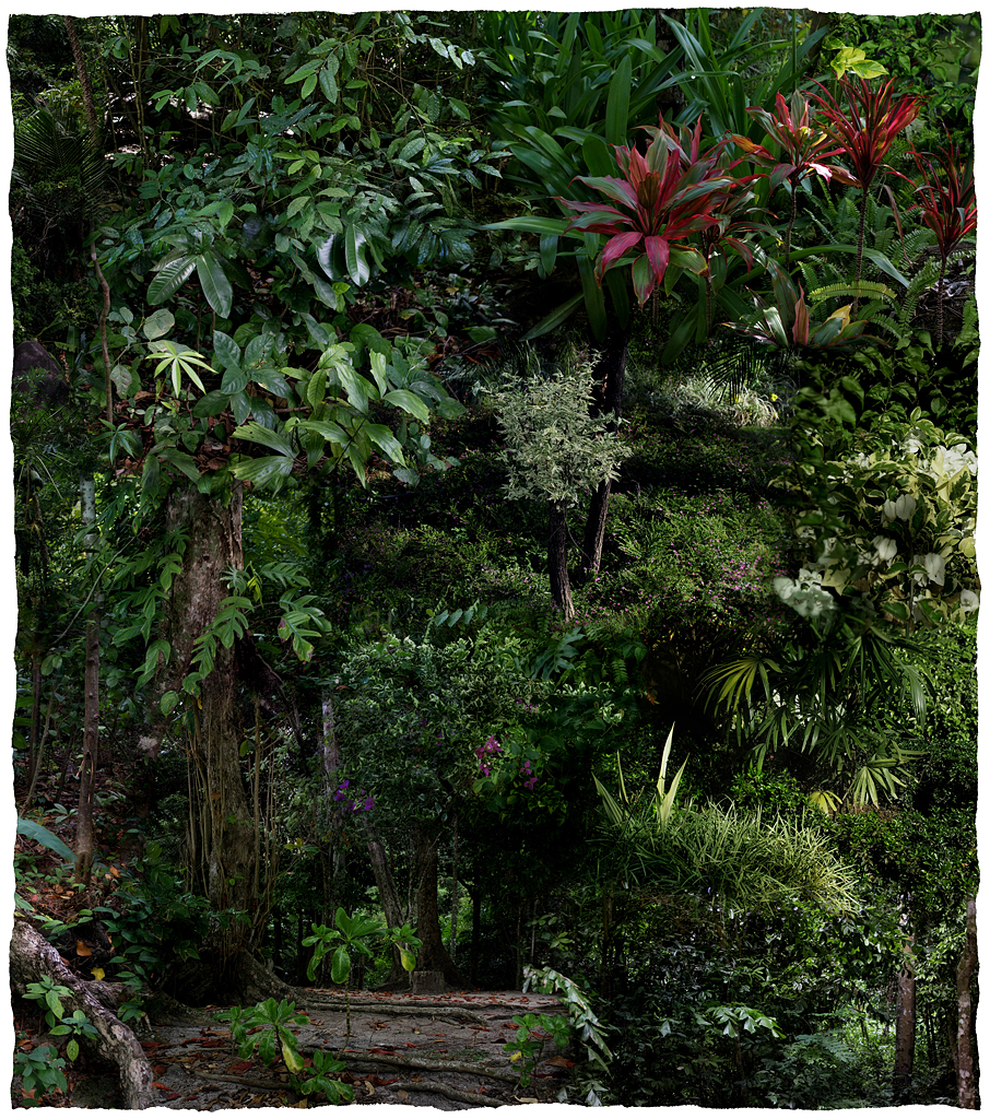 Forest #12, Varnishing on Wevead Pigment Print, 115X130cm,2008