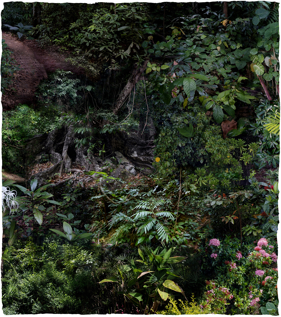 Forest #17, Varnishing on Wevead Pigment Print, 115X130cm,2008