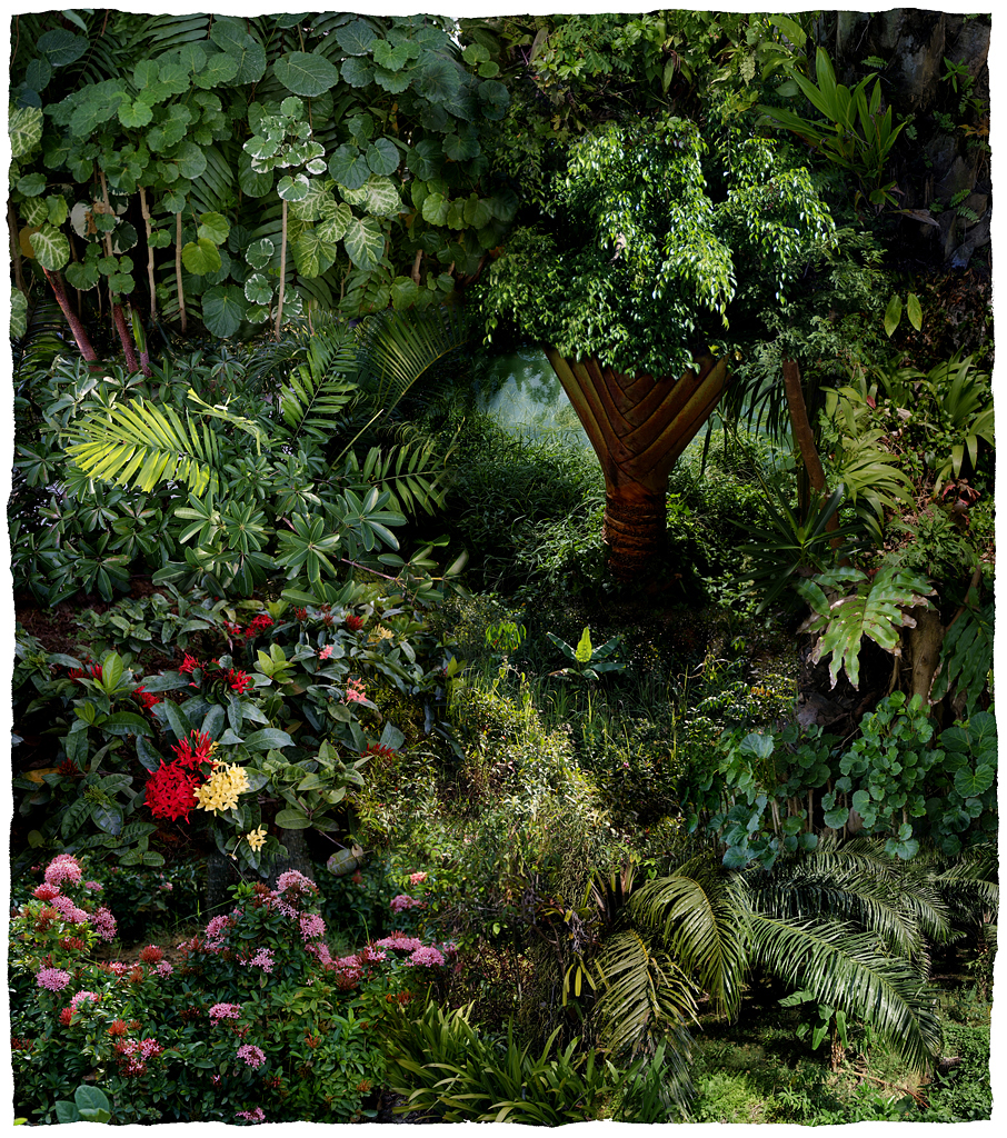 Forest #18, Varnishing on Wevead Pigment Print, 115X130cm,2008