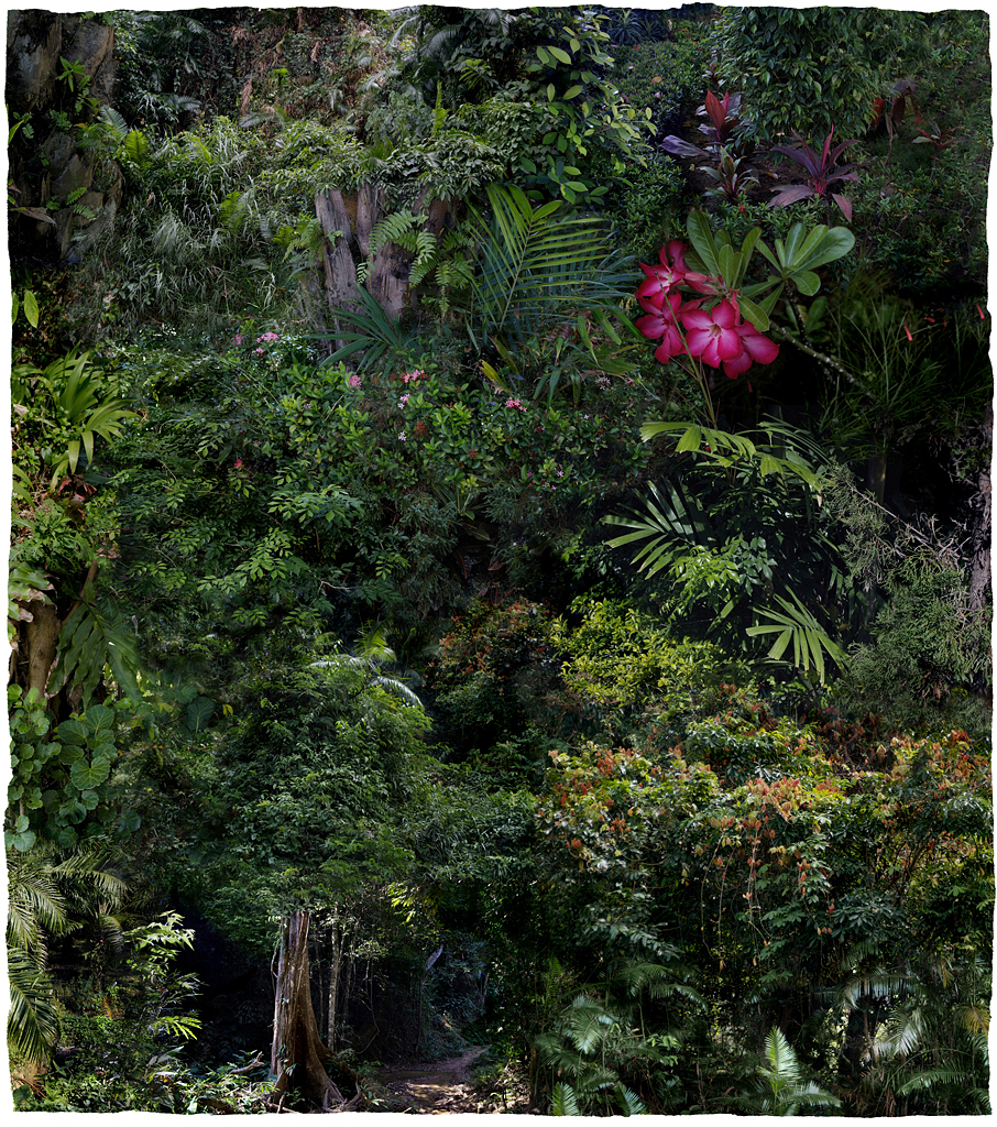 Forest #19, Varnishing on Wevead Pigment Print, 115X130cm,2008