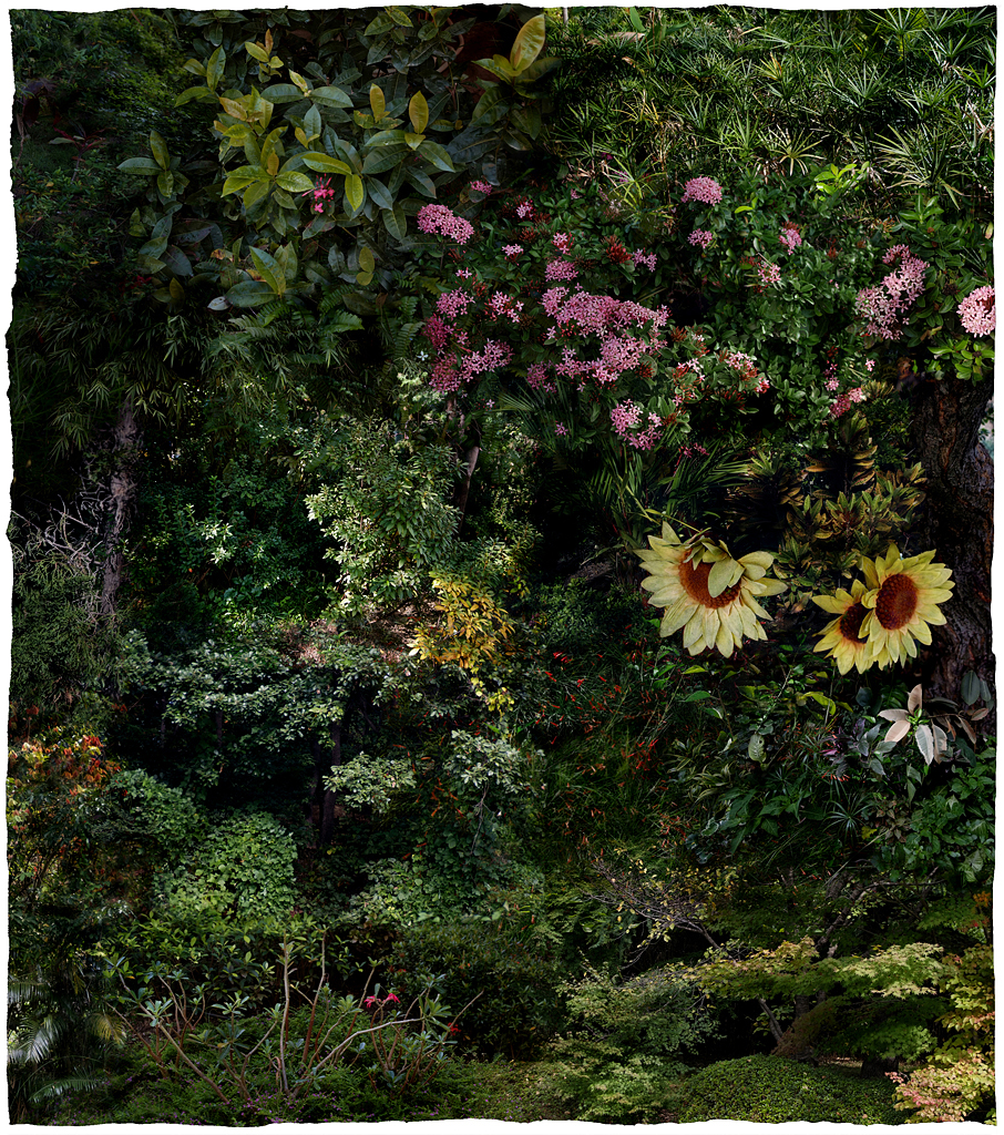 Forest #20, Varnishing on Wevead Pigment Print, 115X130cm,2008