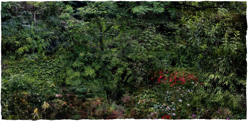 Forest #21, Varnishing on Wevead Pigment Print, 210X103cm,2008