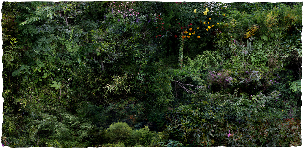 Forest #22, Varnishing on Wevead Pigment Print, 210X103cm,2008
