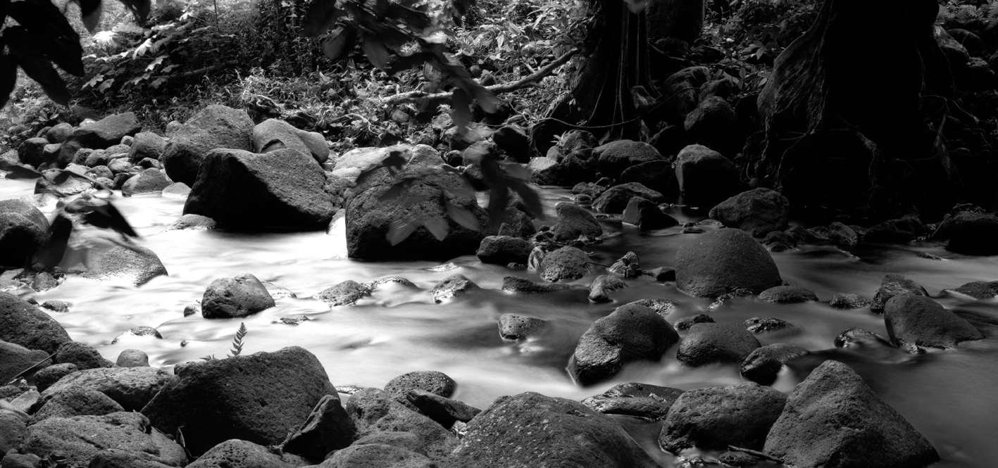 타히티히, 2005 0002