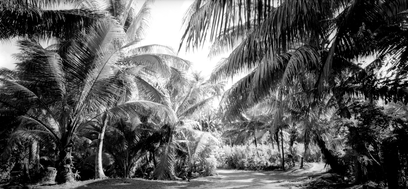 타히티히, 2005 0006