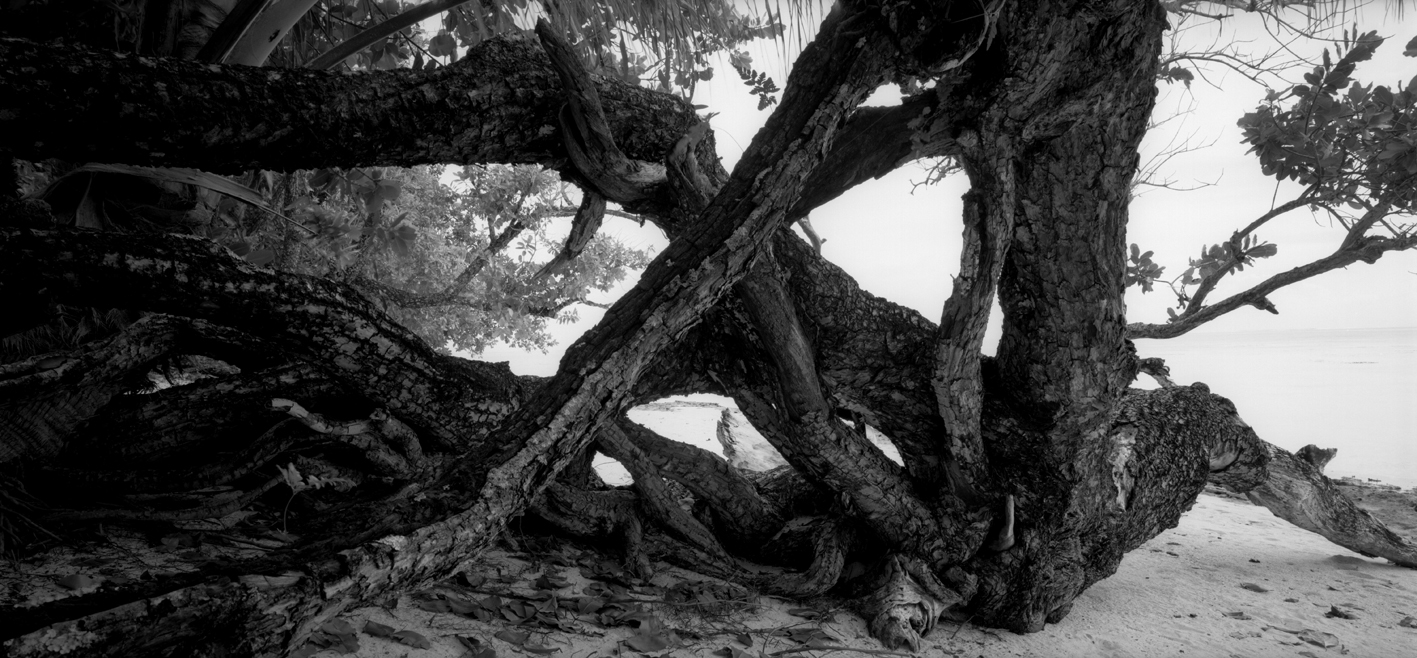 타히티히, 2005 0010