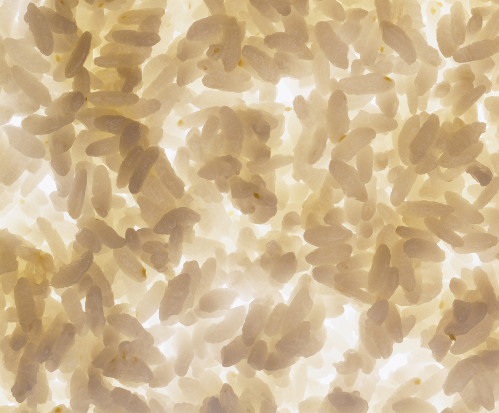 01 부뚜막꽃 Rice in Blossom, archival inkjet print, 90×110cm, 2005