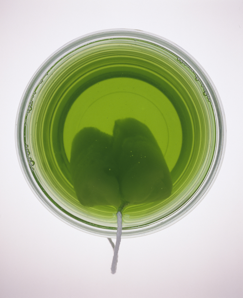 01 Phantasma, archival inkjet print, 76×56cm, 2004