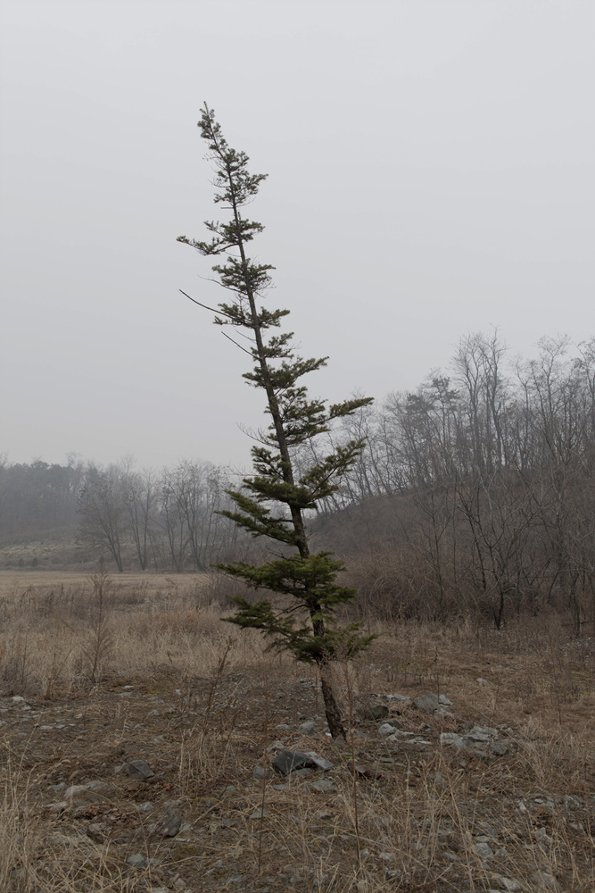 01 김찬규_낮과 밤, C-Print, 127x152.4cm, 2012