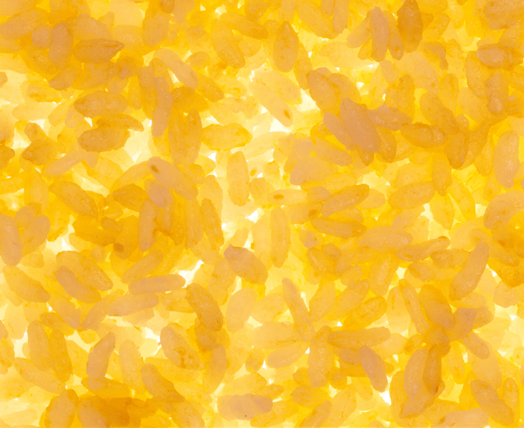 02 부뚜막꽃 Rice in Blossom, archival inkjet print, 90×110cm, 2005