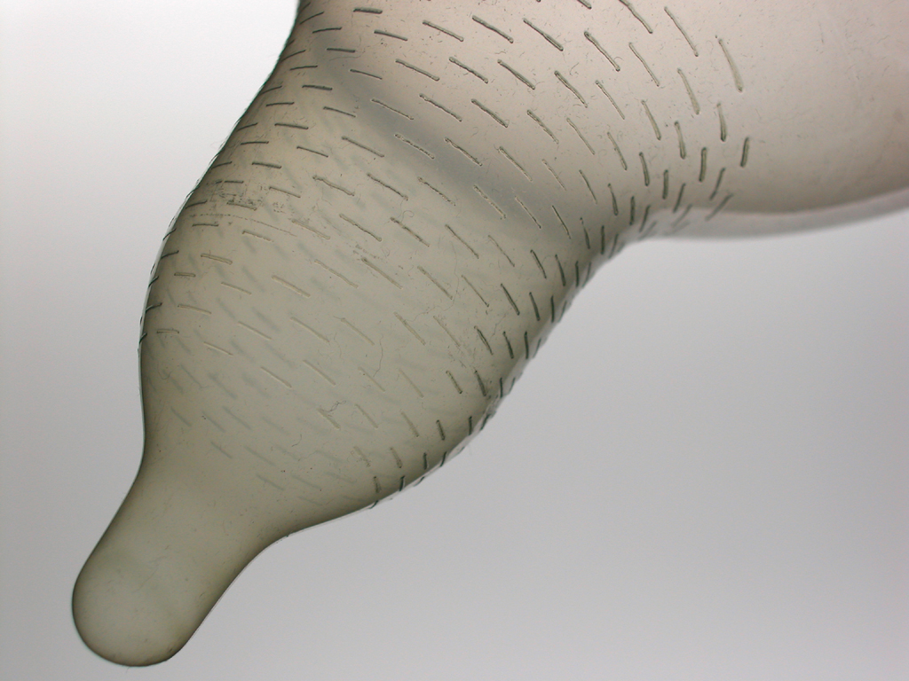 02 Cupola 연작, archival inkjet print, 21×29.7cm 2003