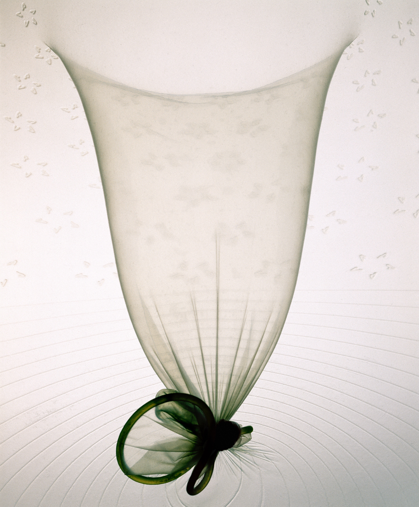 02 Phantasma, archival inkjet print, 76×56cm, 2004