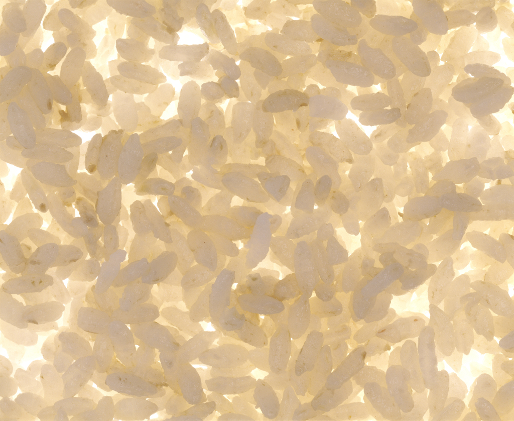 03 부뚜막꽃 Rice in Blossom, archival inkjet print, 90×110cm, 2005