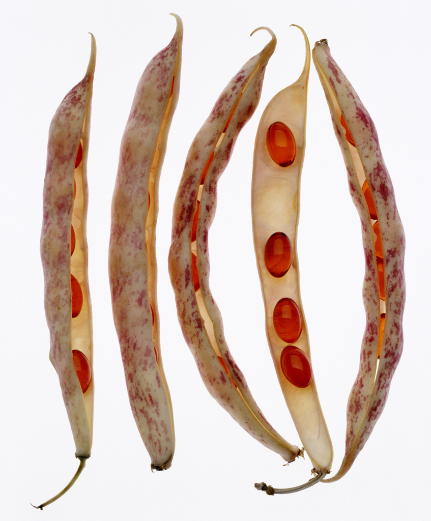 03 Phantasma, archival inkjet print, 76×56cm, 2004