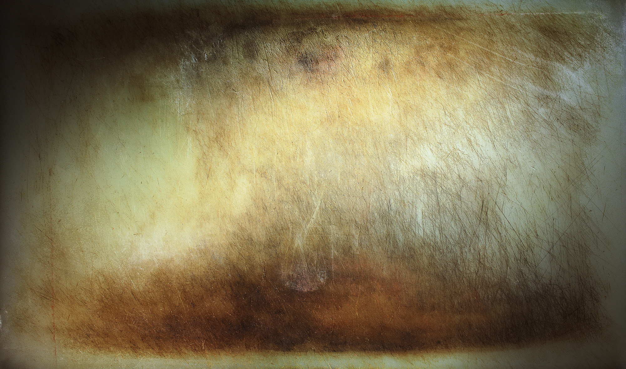 03 Tissue cutting Board, 2008