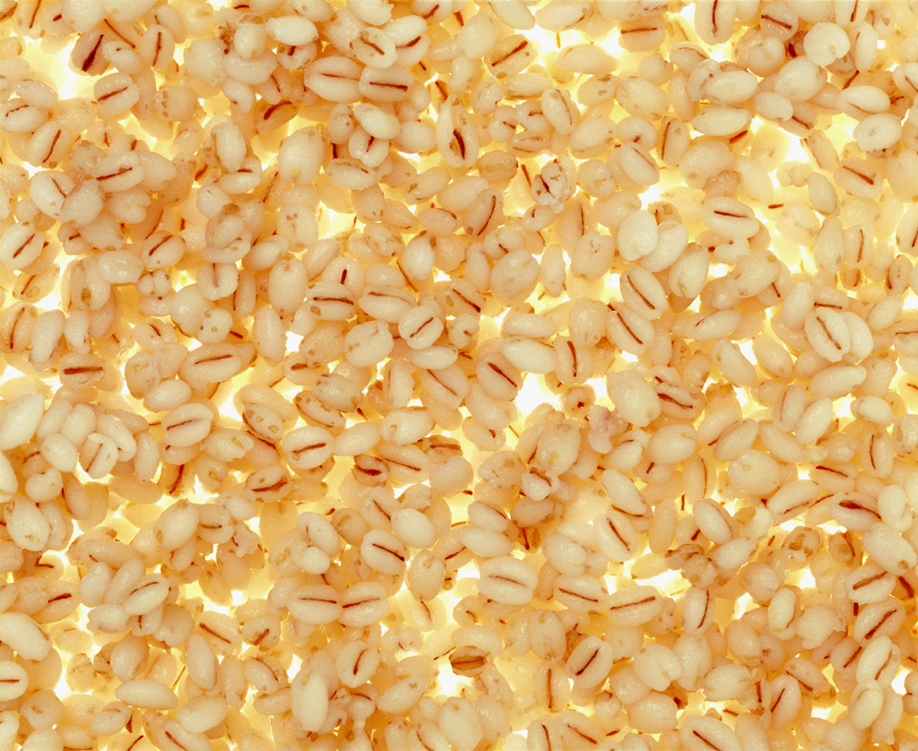 04 부뚜막꽃 Rice in Blossom, archival inkjet print, 90×110cm, 2005