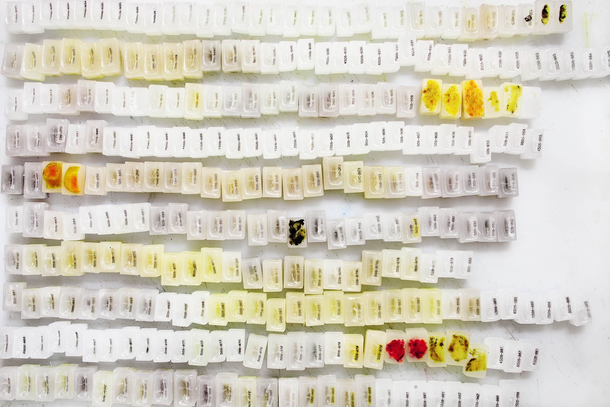 04 Pieces of cancers mounted on Paraffin, 2008